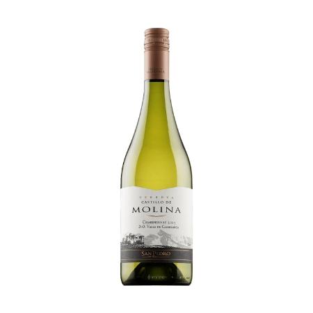 Castillo De Molina Chardonnay Reserva Casablanca Valley 0.75L (13.5%) Vynas