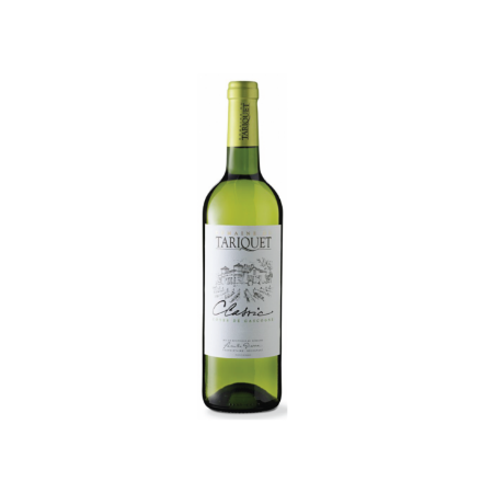 Tariquet Classic (Blanc) 0.75 (10.5%) Vynas
